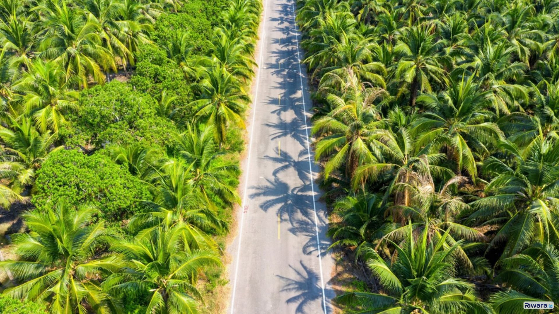 Pemerintah menerbitkan PMK Nomor 9 Tahun 2026 yang mengubah tarif pungutan ekspor sawit